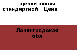 щенки таксы стандартной › Цена ­ 3 500 - Ленинградская обл., Санкт-Петербург г. Животные и растения » Собаки   . Ленинградская обл.,Санкт-Петербург г.